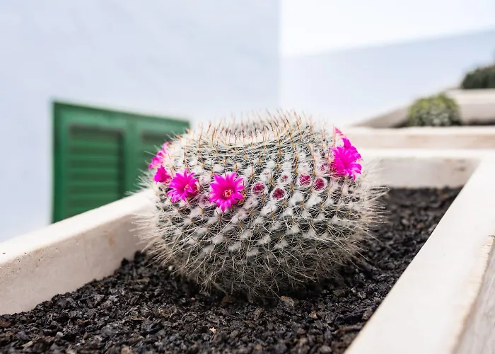 Σπίτι διακοπών Casa Volcan De Caldera Blanca *